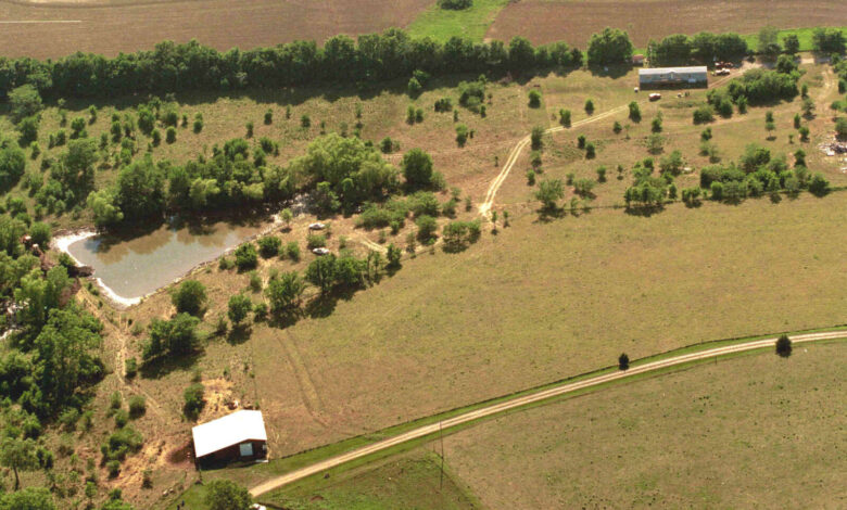 Unraveling the Mystery: The Discovery at John Edward Robinson's Farm