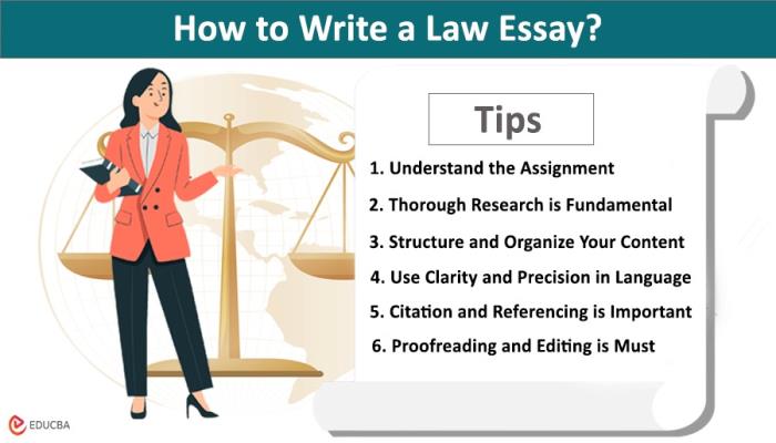 law essay